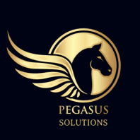 Pegasus Solution